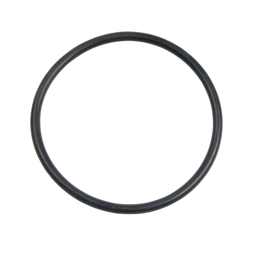 A black rubber O-ring, similar to Carlson Replacement Pump O-Rings, rests against a plain white background.